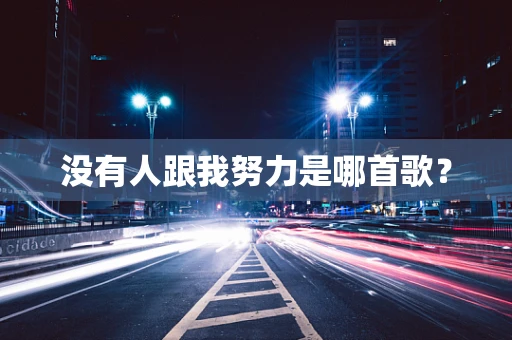 没有人跟我努力是哪首歌？