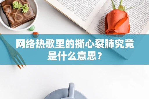 网络热歌里的撕心裂肺究竟是什么意思？