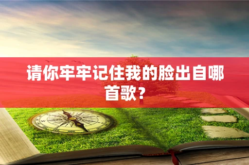 请你牢牢记住我的脸出自哪首歌？