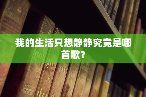 我的生活只想静静究竟是哪首歌？