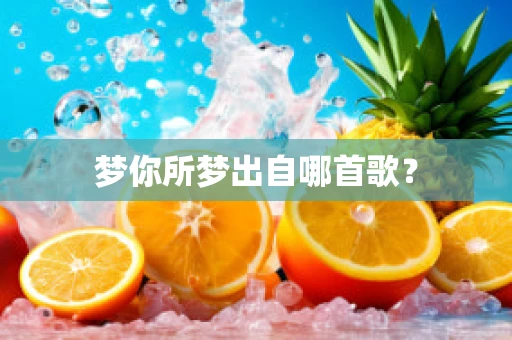 梦你所梦出自哪首歌？