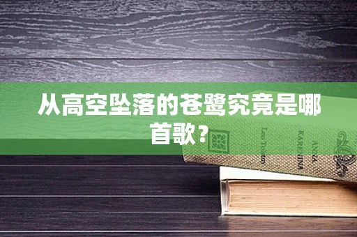 从高空坠落的苍鹭究竟是哪首歌？